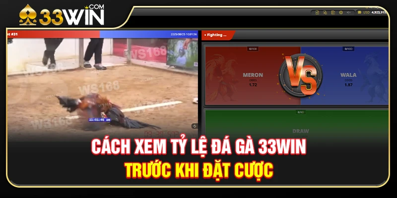 Cách Xem Tỷ Lệ Đá Gà 33WIN Trước Khi Đặt Cược