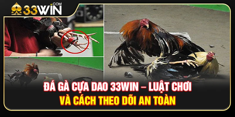 Đá Gà Cựa Dao 33WIN – Luật Chơi Và Cách Theo Dõi An Toàn