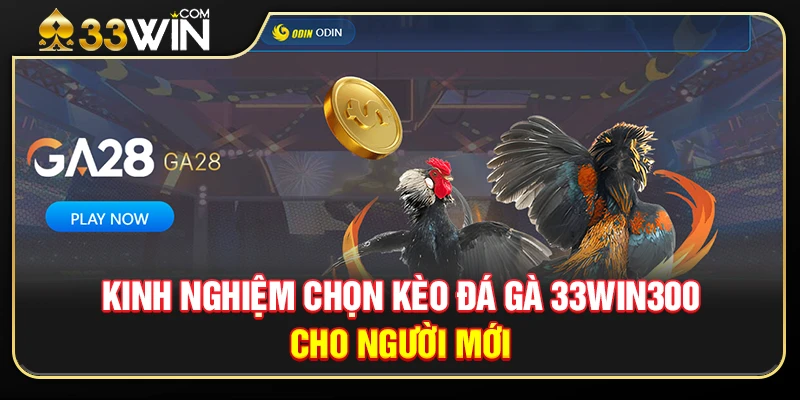 Kinh Nghiệm Chọn Kèo Đá Gà 33WIN300 Cho Người Mới