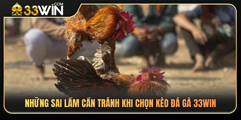 Kinh Nghiệm Chọn Kèo Đá Gà 33WIN300 Cho Người Mới 4 Những sai lầm thường gặp khi soi kèo đá gà