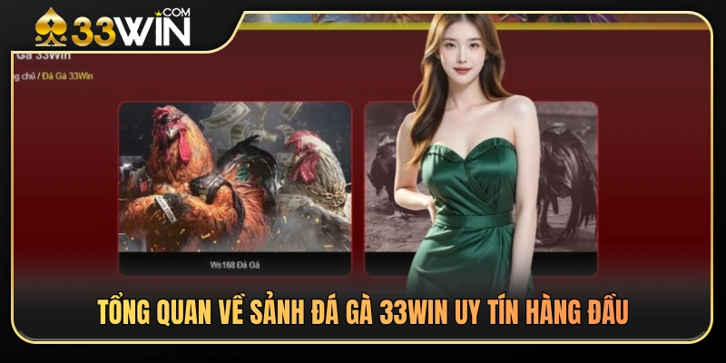 Giới thiệu sảnh đá gà 33WIN đẳng cấp và đáng tin cậy 