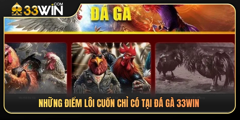 Các ưu thế nổi bật tạo nên sức hút của đá gà 33WIN 