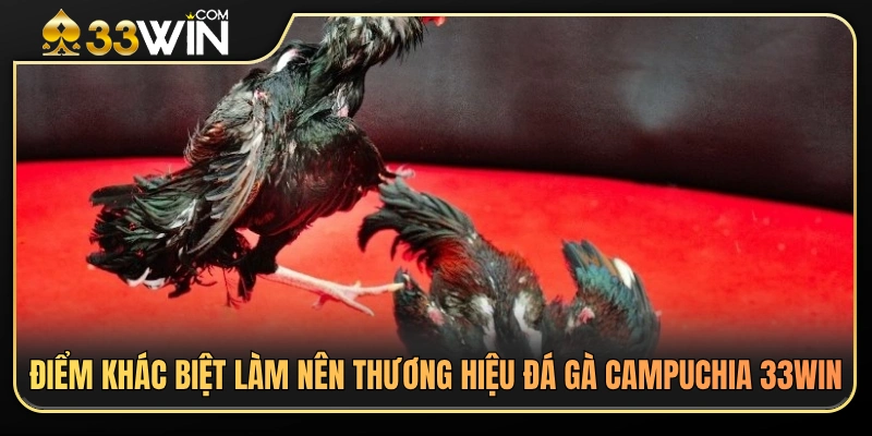 Lợi thế cạnh tranh giúp đá gà Campuchia 33WIN được yêu thích 