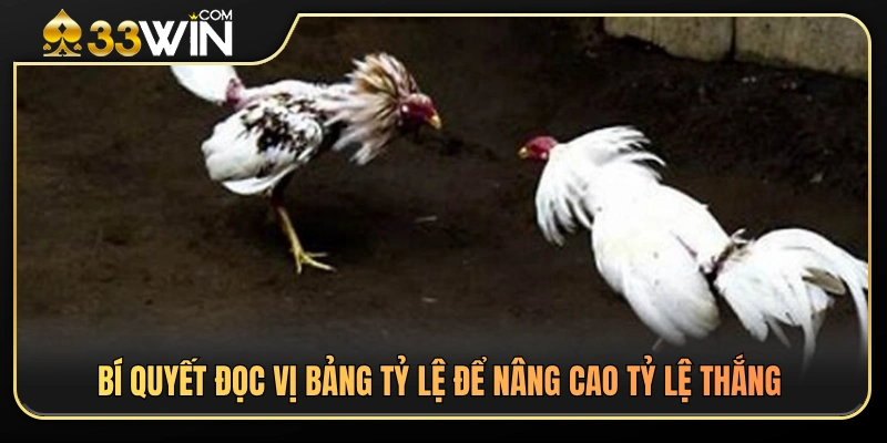 Cách Xem Tỷ Lệ Đá Gà 33WIN Trước Khi Đặt Cược 4 Kinh nghiệm phân tích bảng kèo đá gà từ các cao thủ lâu năm